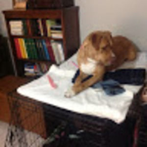 Meet your Posher, Leticia